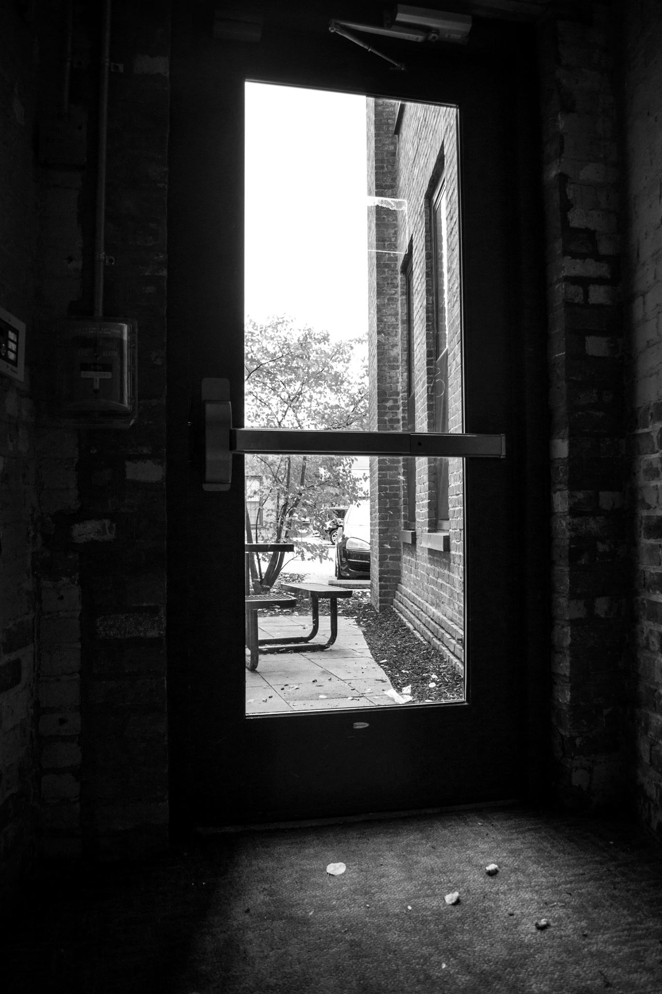 23509488_10213071529816275_198550141214177579_o