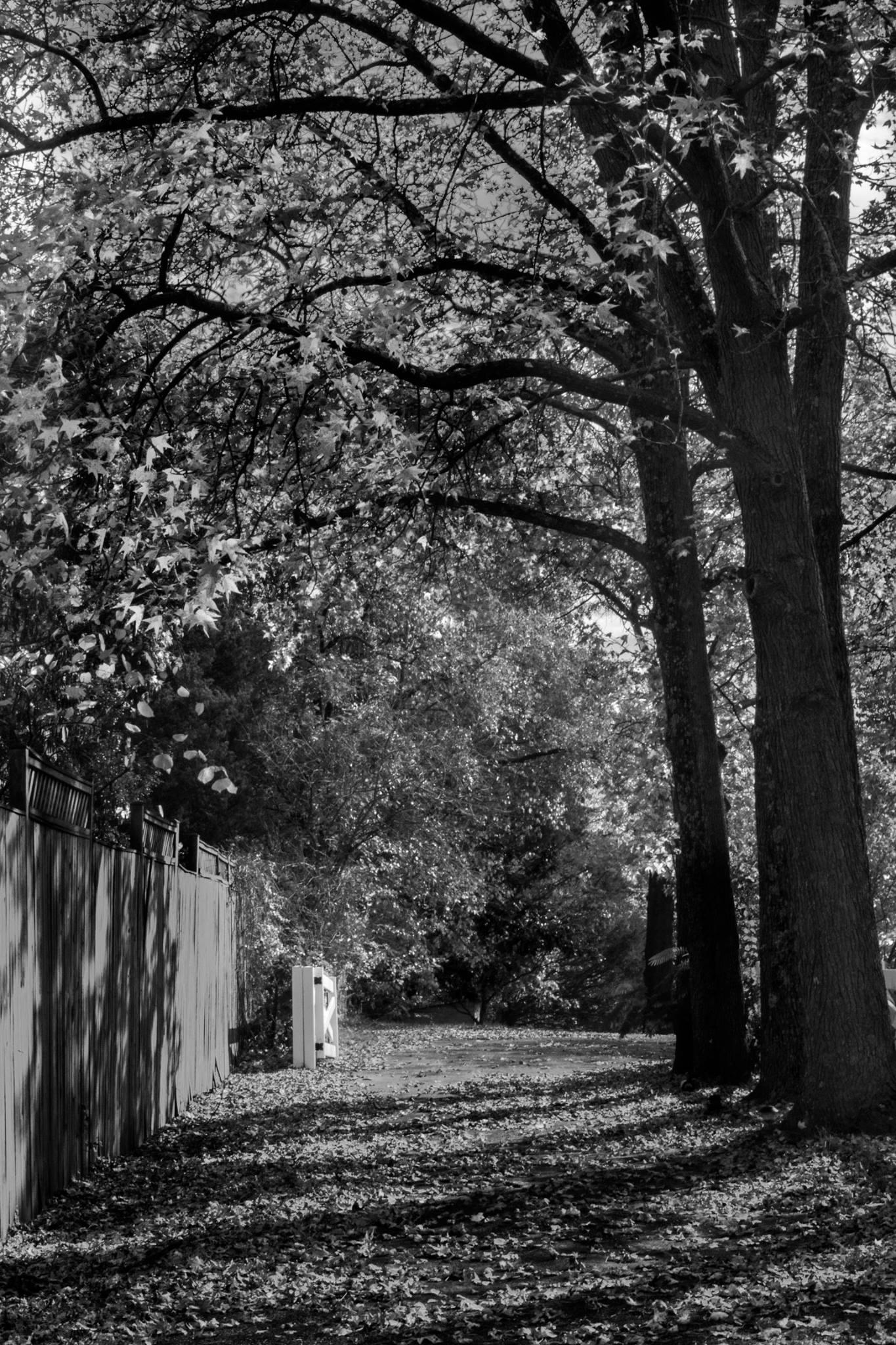 23511388_10213071528856251_1400078854985212246_o