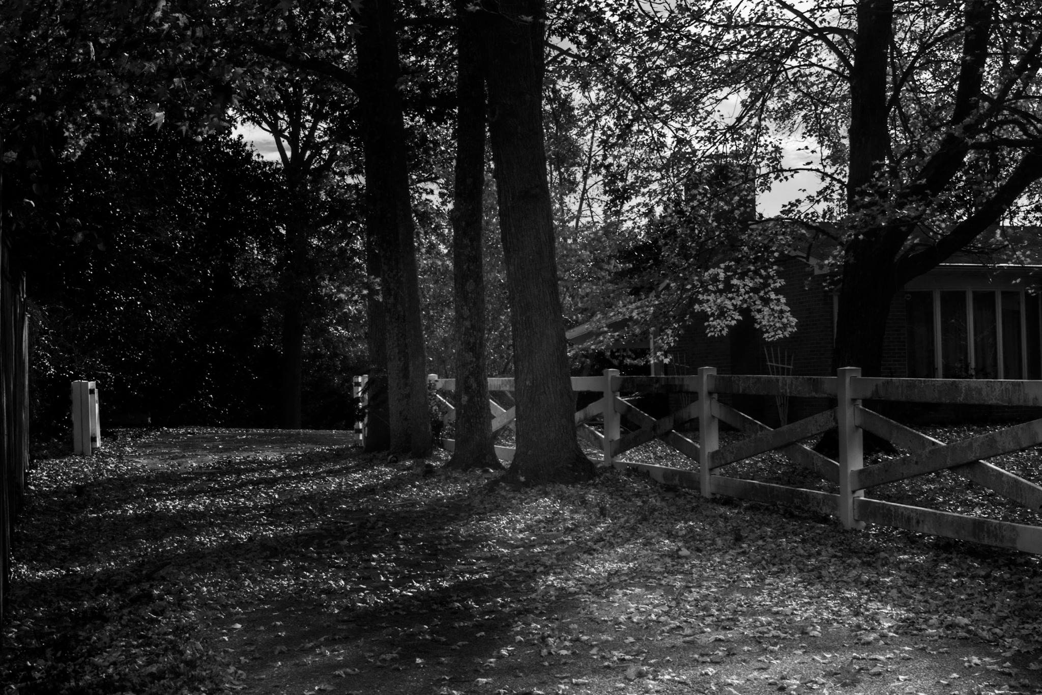 23550822_10213071527056206_5576116115019760061_o