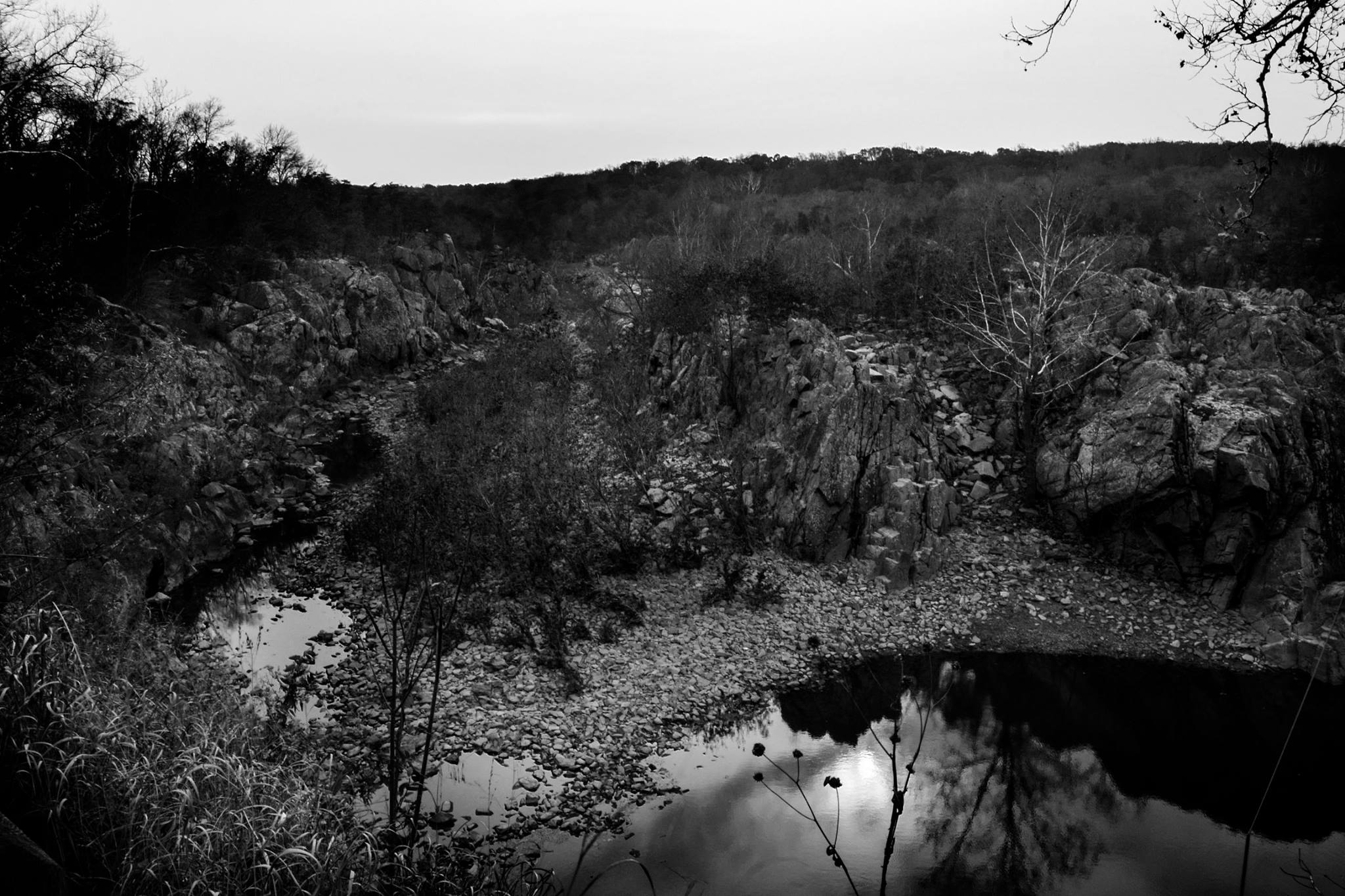 23926177_10213179703960561_7647893570155126206_o-1