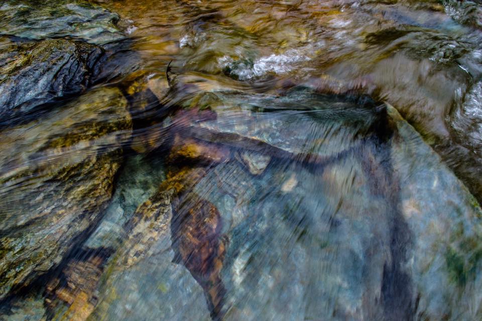 18198618_10211422633794905_8721089175547537584_n