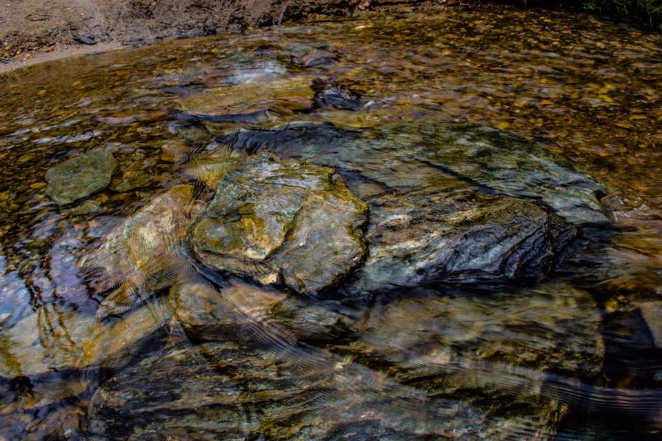 18222118_10211422633954909_4138583456531197840_n