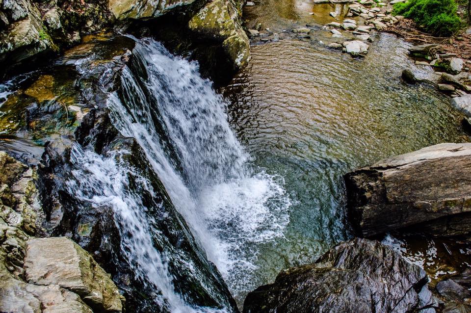 18275192_10211422632354869_859384587032312798_n