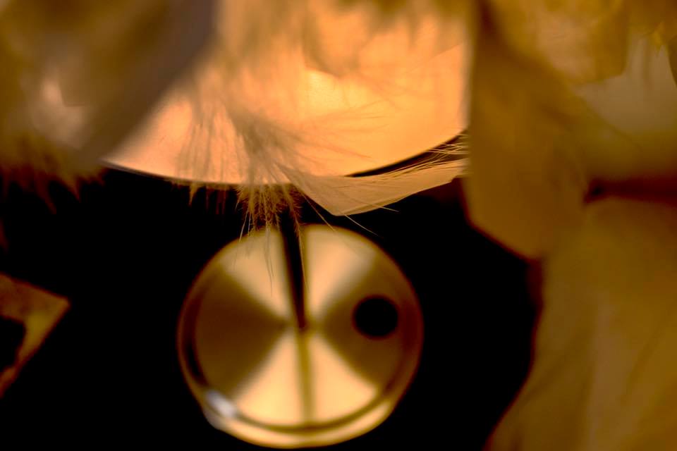 22688689_10212921830793893_2784179611675511153_n