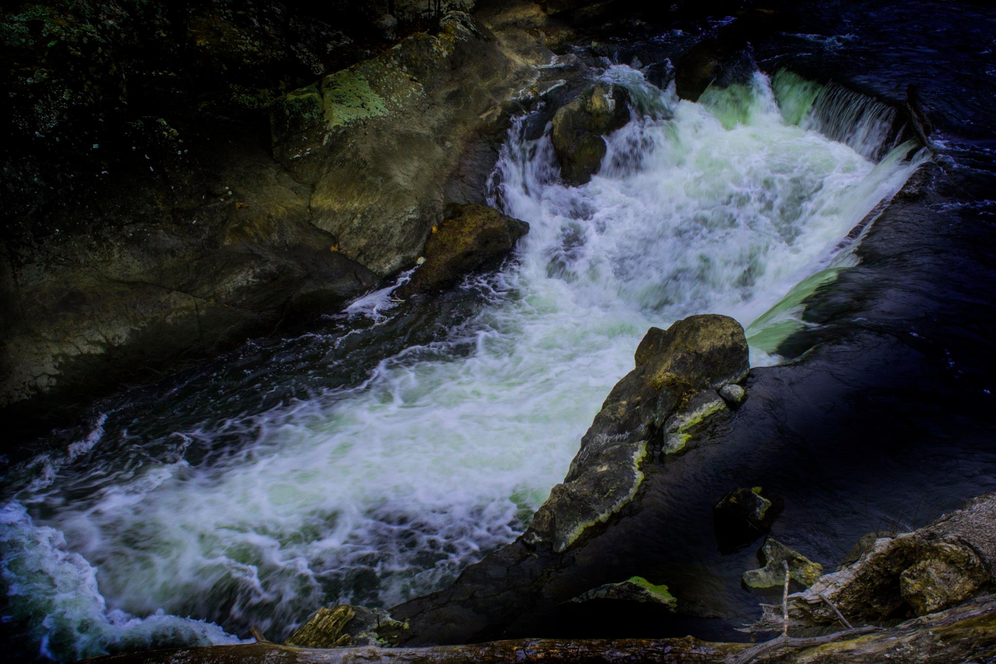 23916529_10213179703440548_5011377632370495837_o