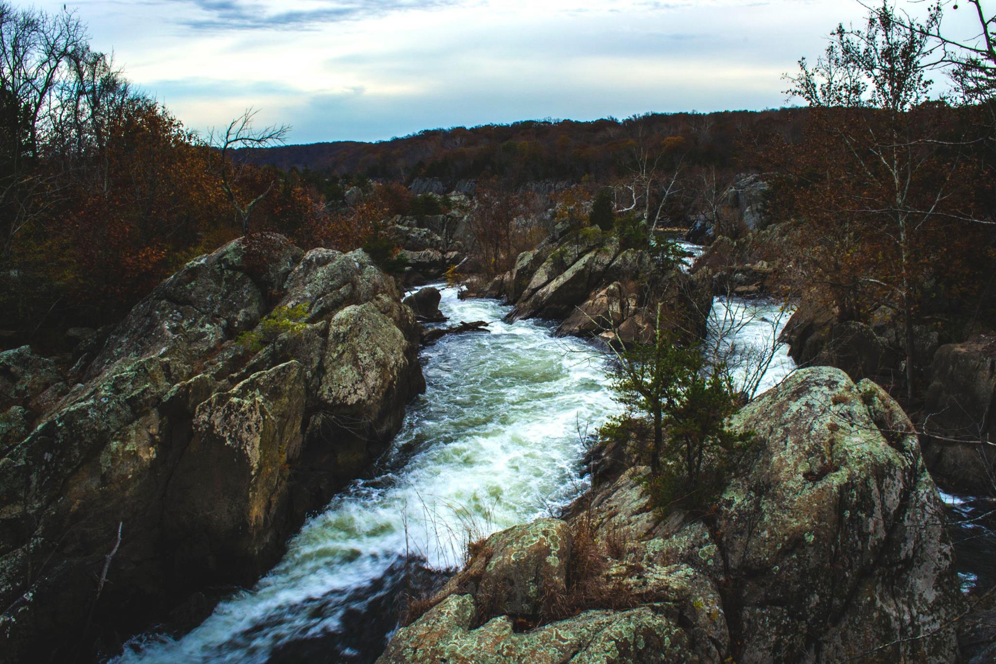 23916530_10213179704040563_3939544841453461100_o