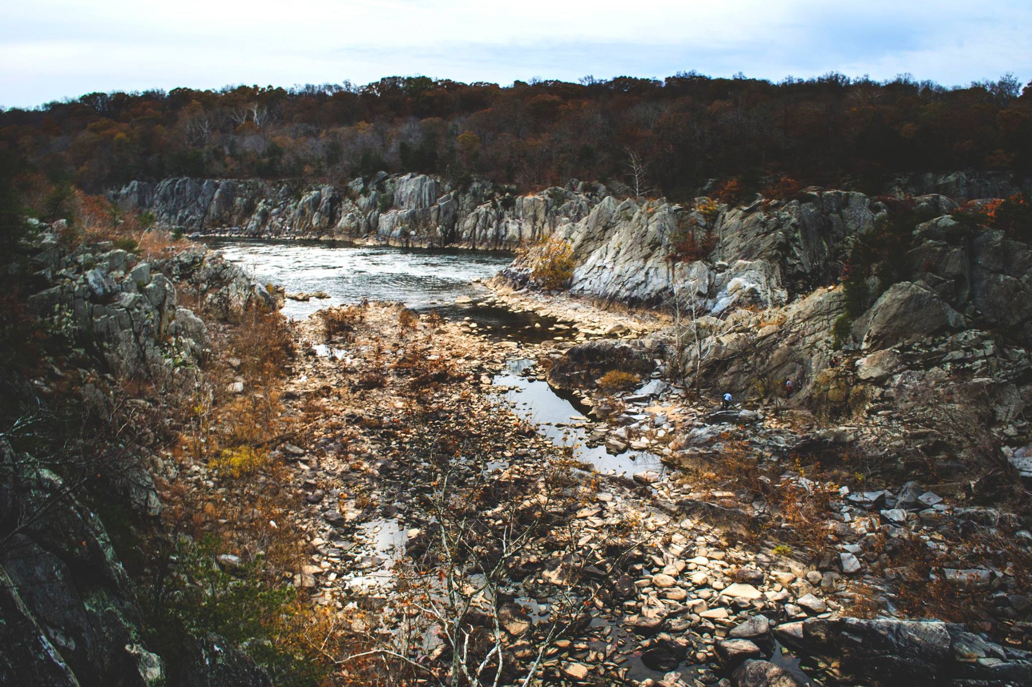 23926266_10213179706760631_2133409119971012073_o