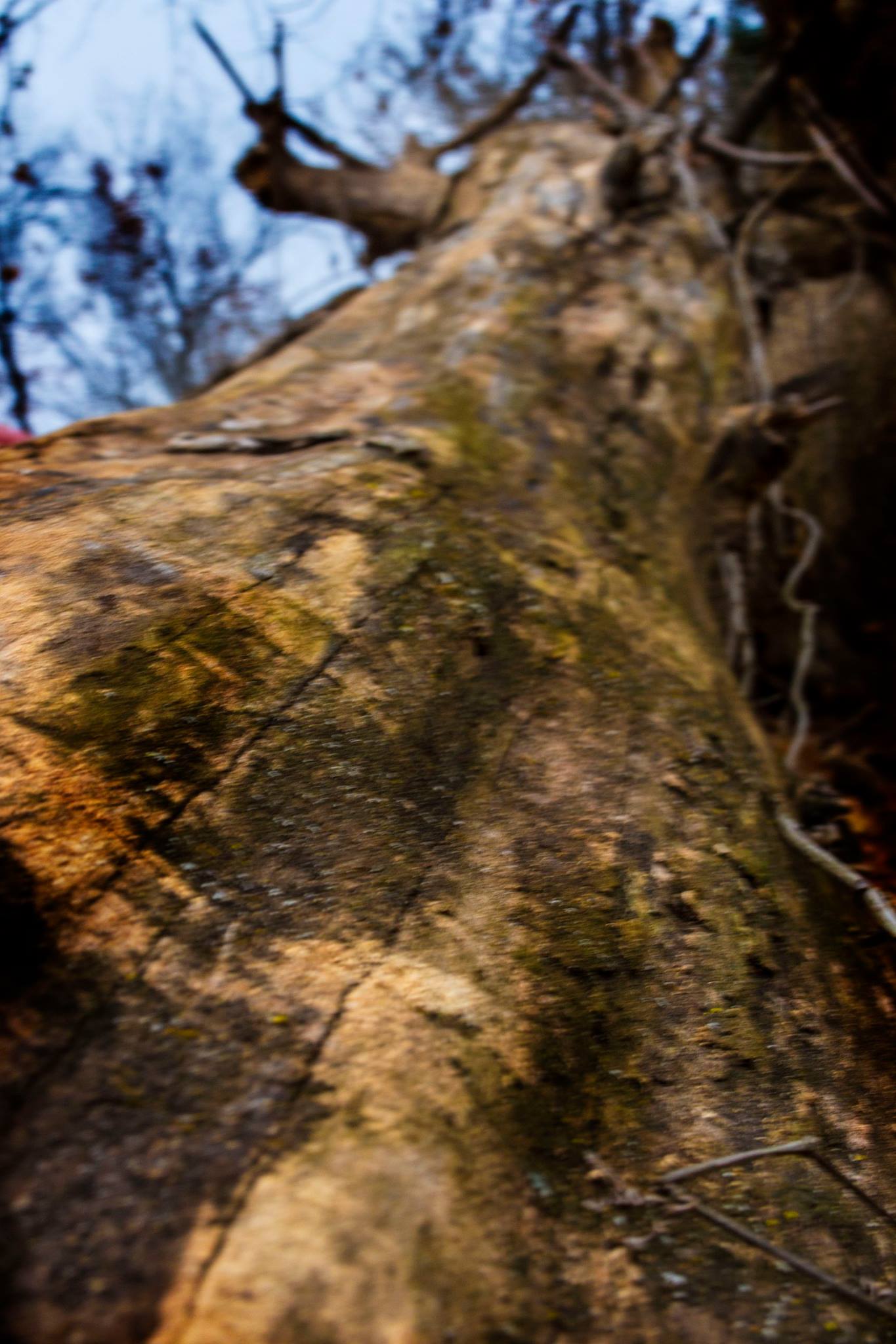 23926318_10213179705400597_2828105936946076833_o