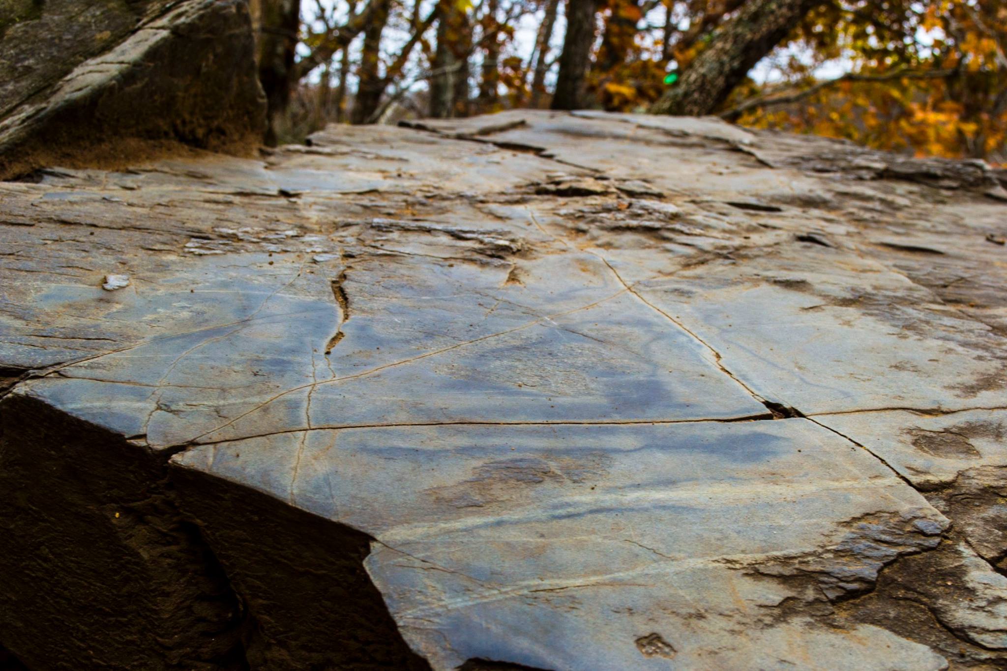 23926354_10213179704920585_693572443937304689_o