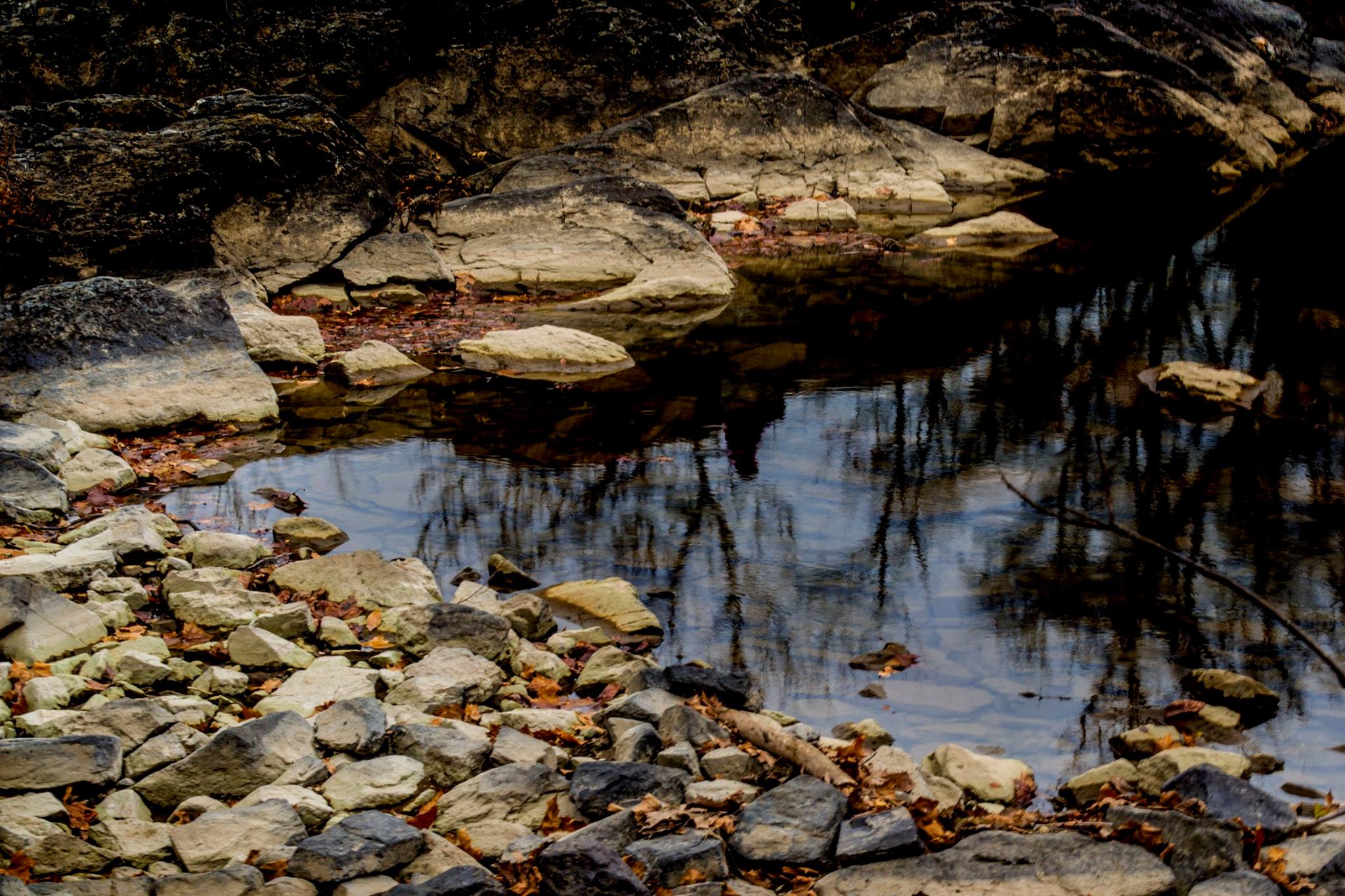 23926582_10213179707440648_476618756415084887_o