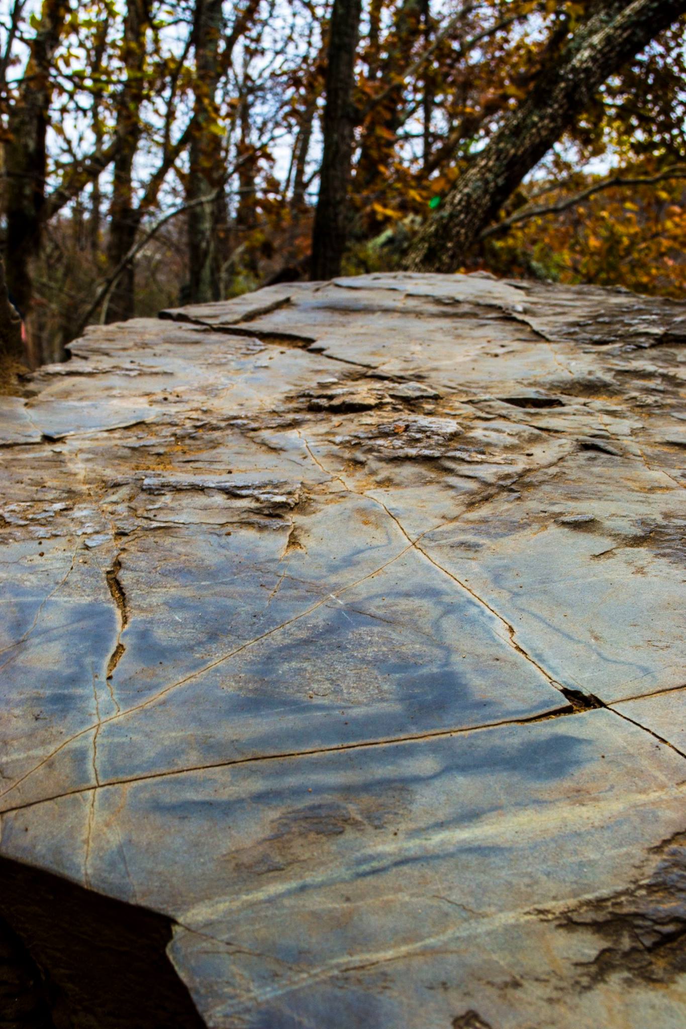 24059716_10213179706920635_6761957549011375263_o