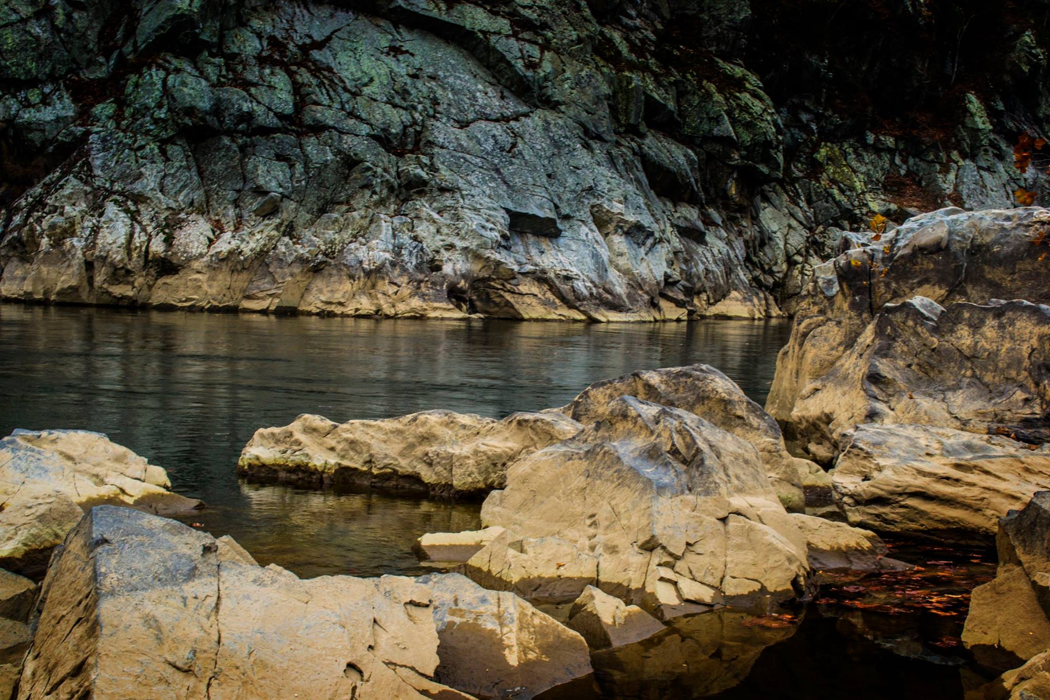 24068483_10213179707400647_2109463611549359088_o