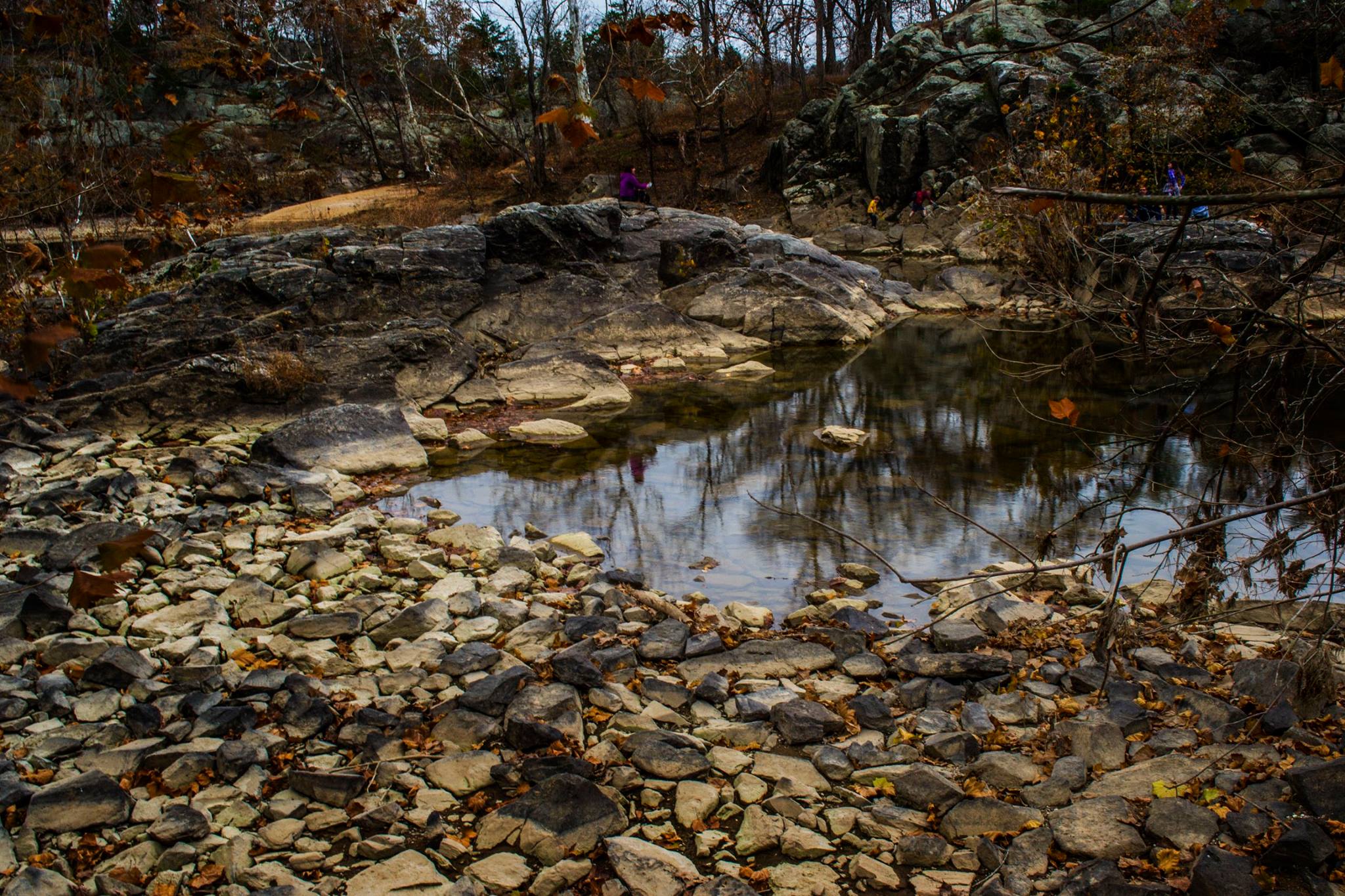 24130118_10213179707560651_1990512148453277831_o