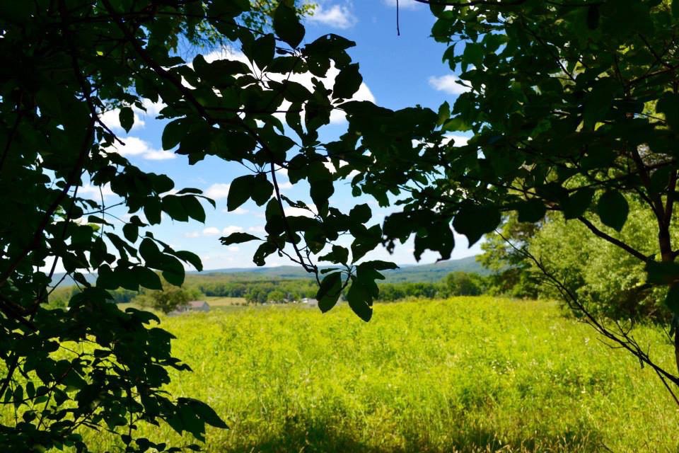 3f990742321583.57c89a28bba07