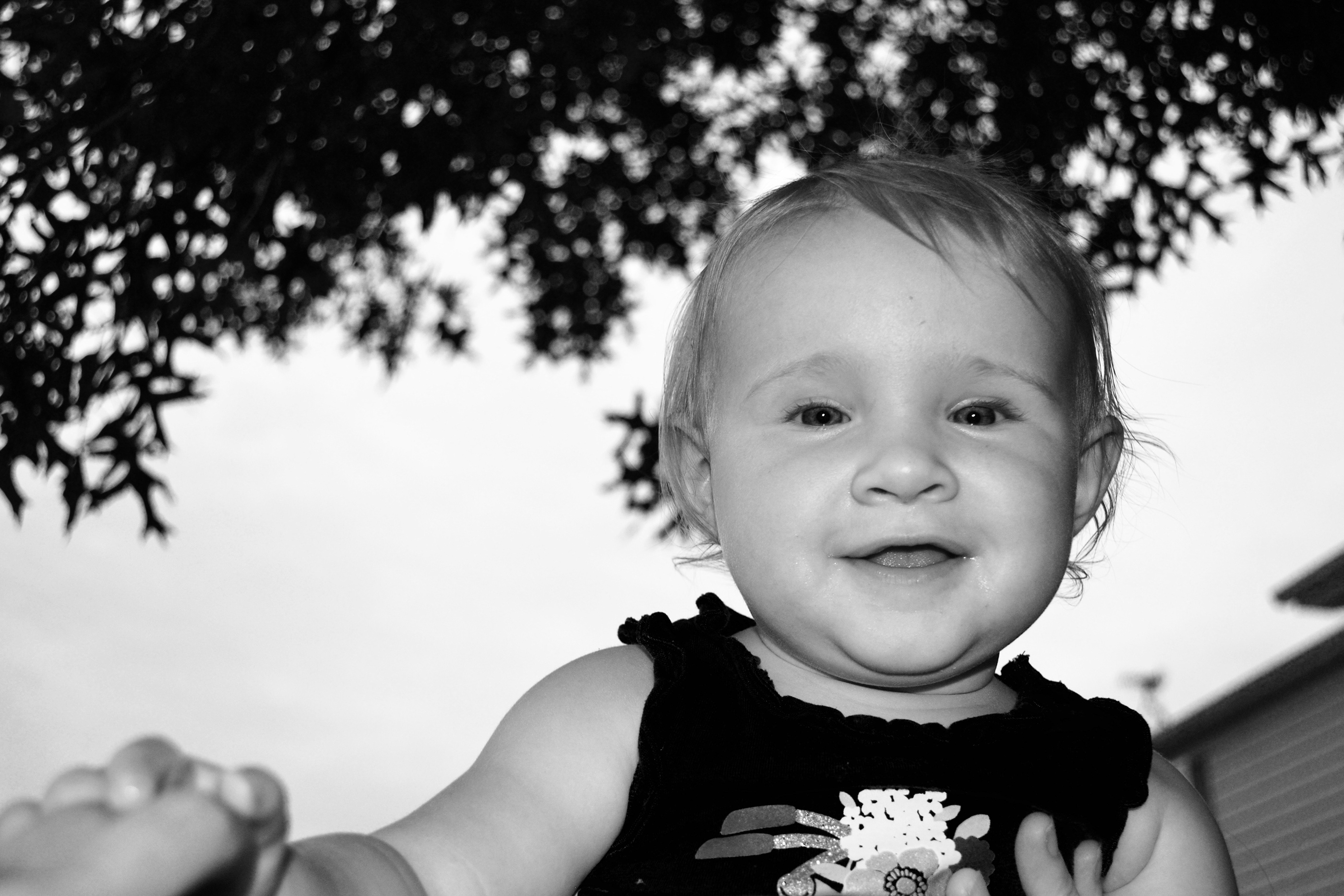 525d2742321583.57c89a27b3545