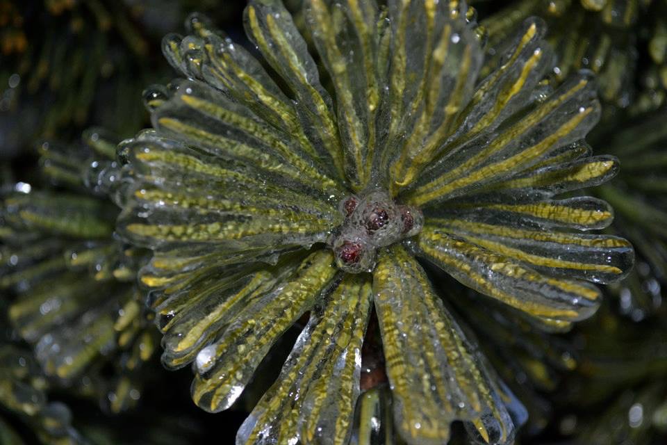 5d5a9f42321583.57c89a26e54fe