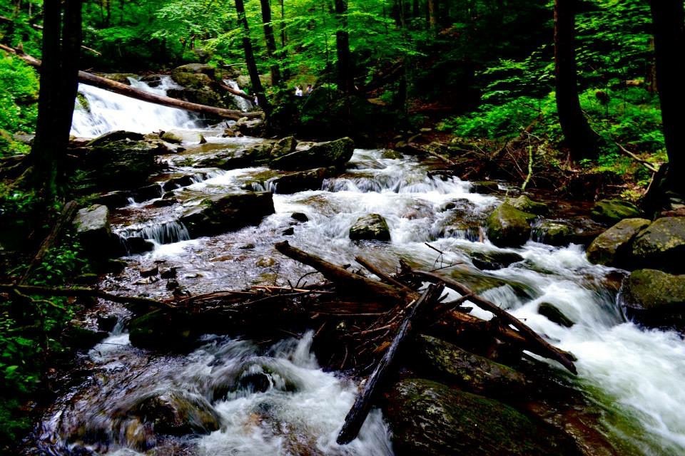 610ab842321583.57c89a28bd8c3