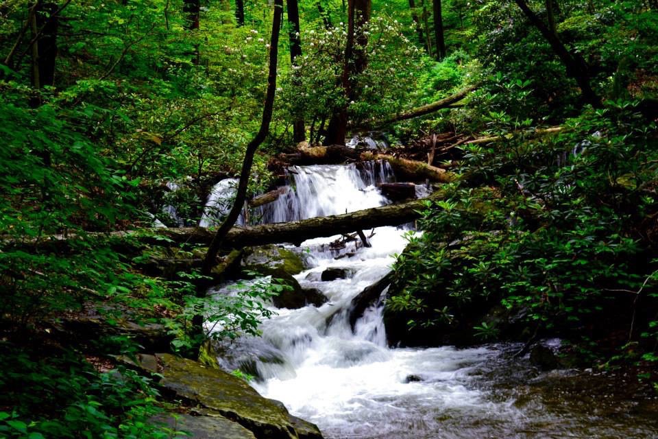 7248aa42321583.57c89a28beb43