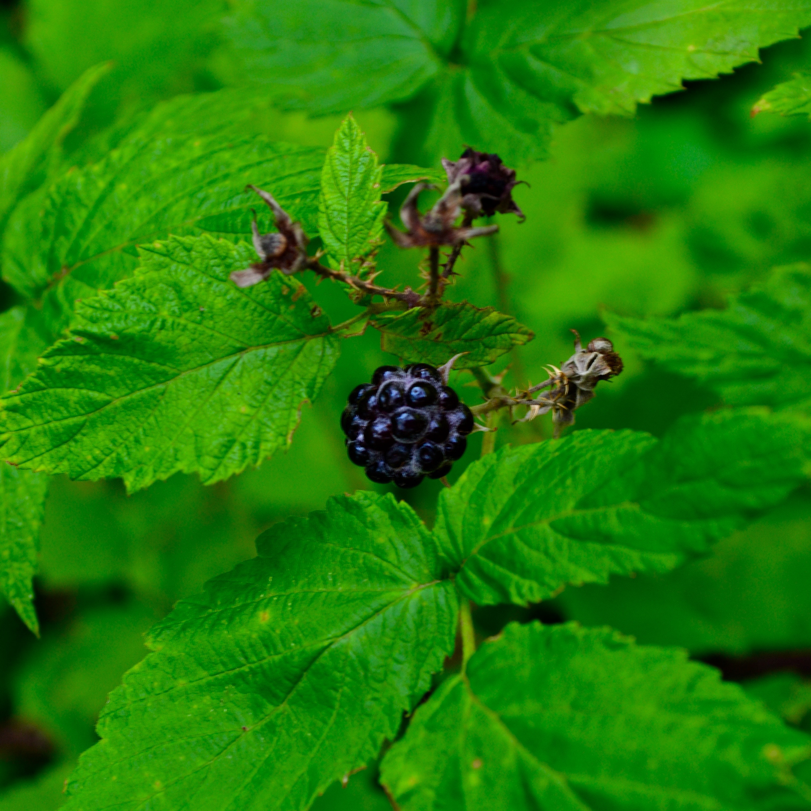 9ae20c42321583.57c89a27c0d9b