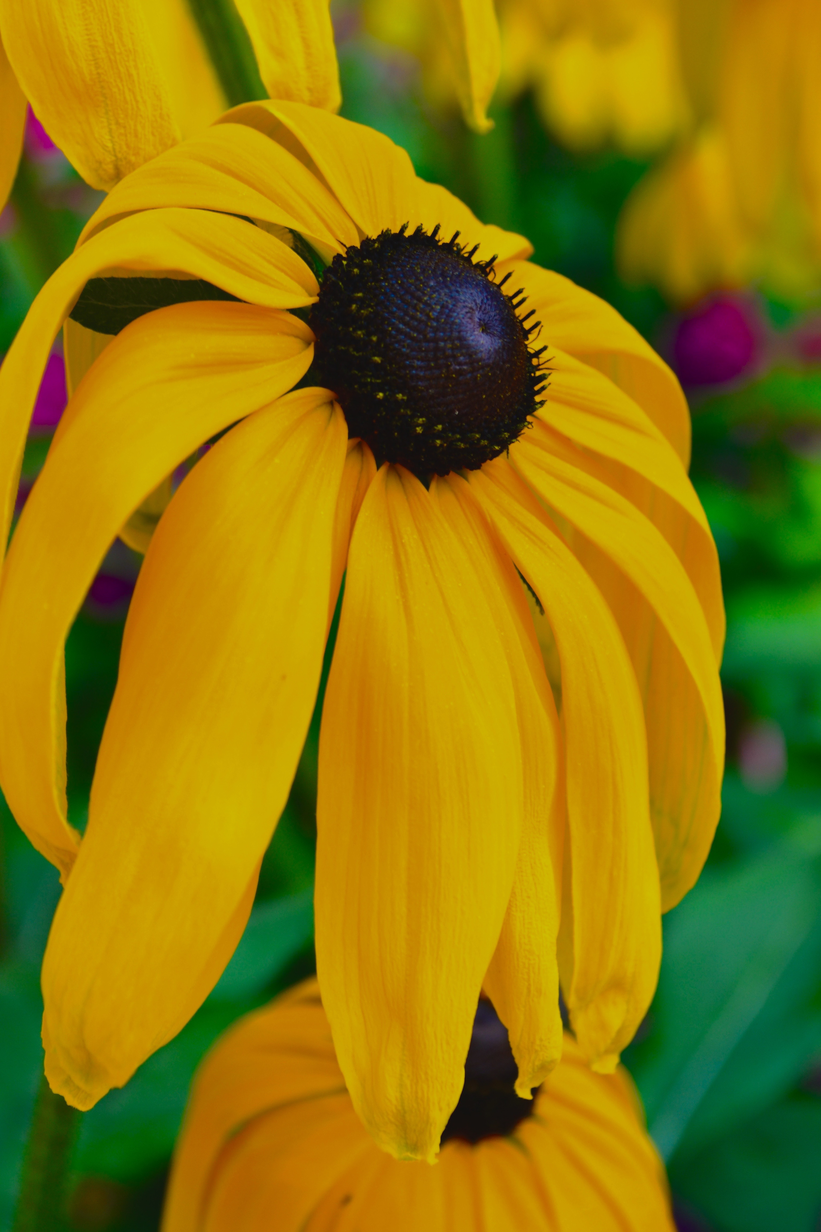 9cd82a42321583.57c89a280791a