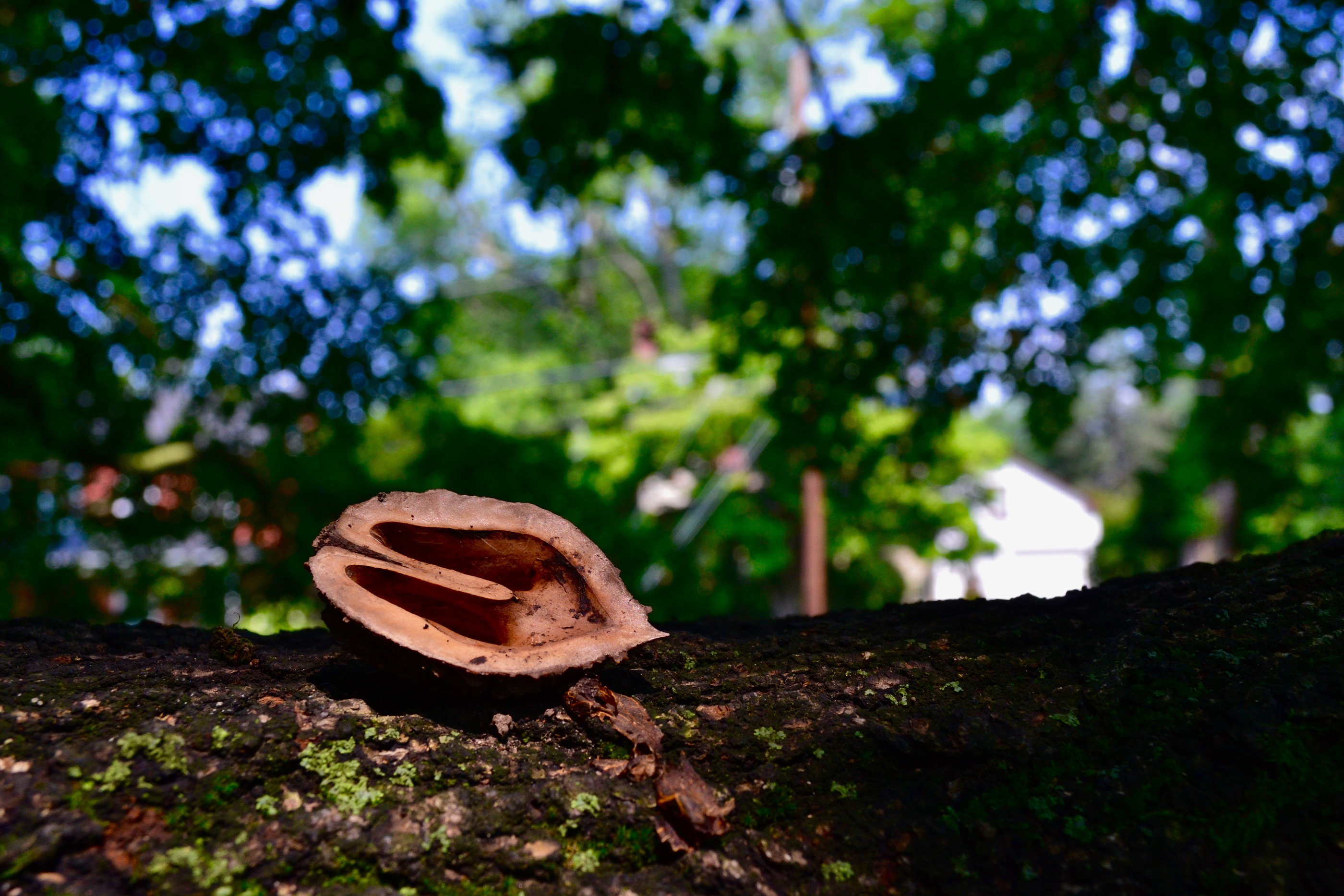 9ea4fa42321583.57c89a2751746