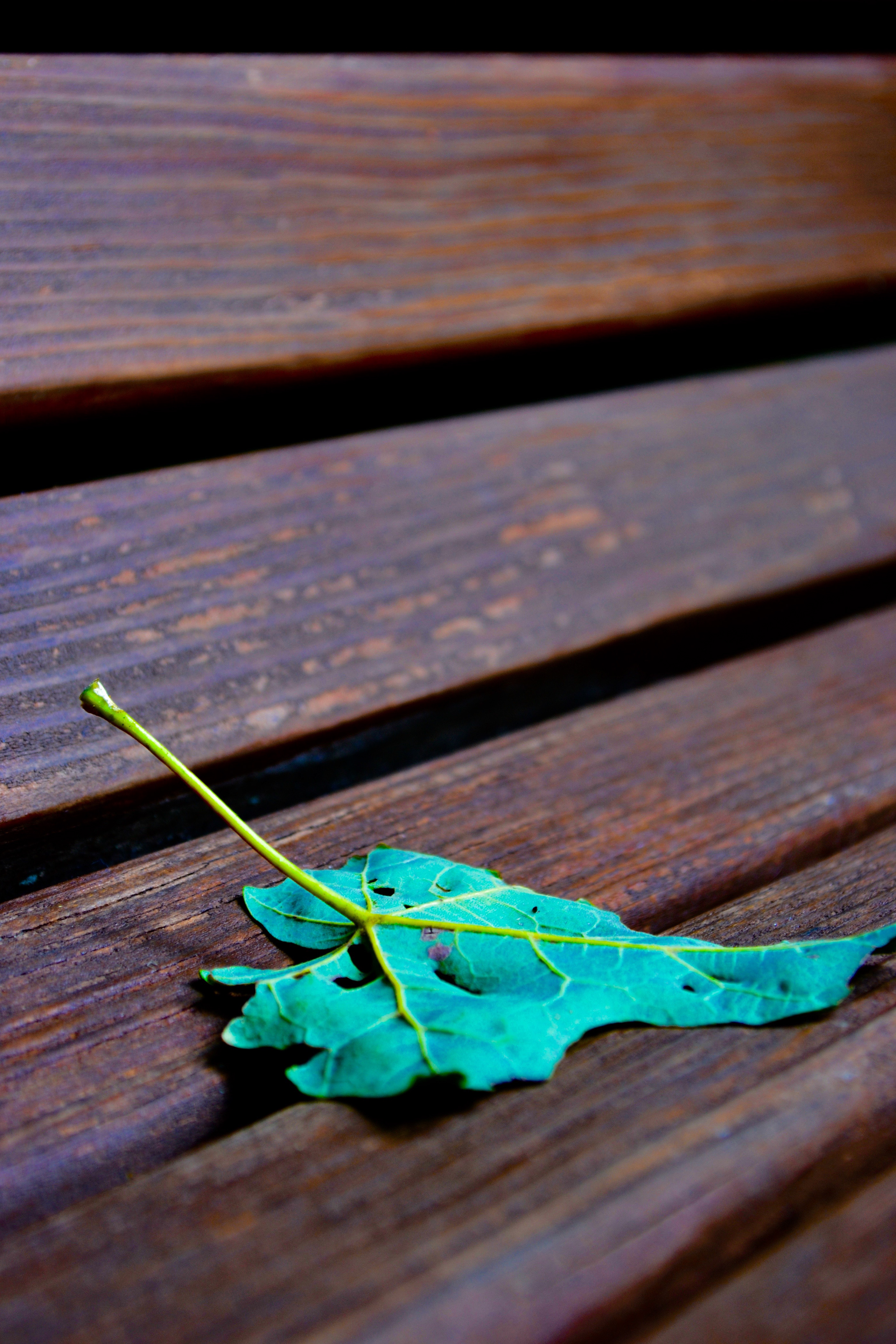 d02fc642321583.57c89a28b1a8e