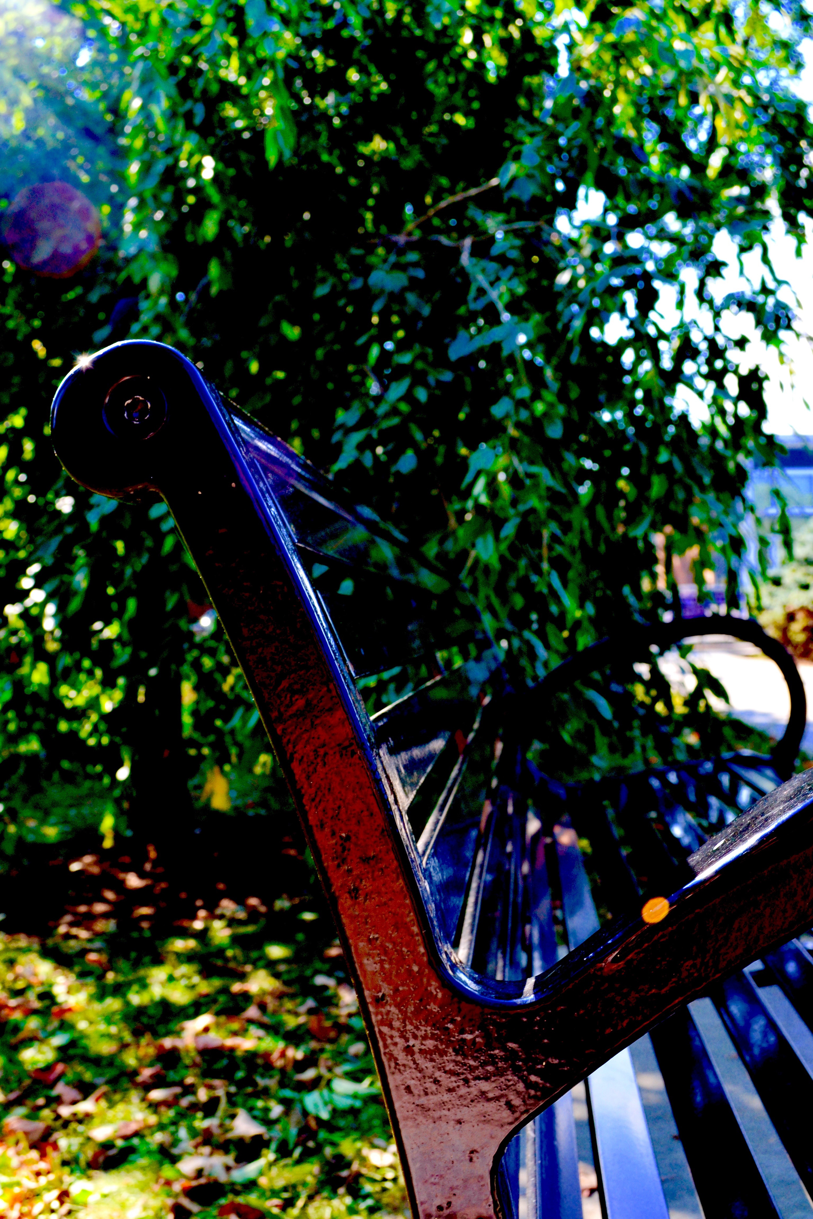 deadec42321583.57c89a27e8847